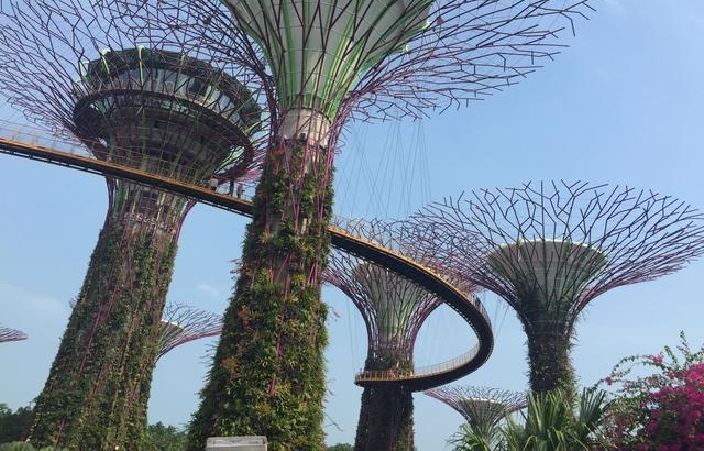 从年薪20万国企员工到回乡创业心路历程 连载（三）