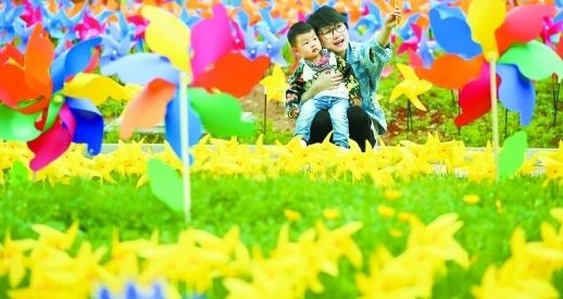 风车花海 缤纷如画