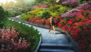 兰山3000亩“城市花海”将于5月底“美丽绽放”