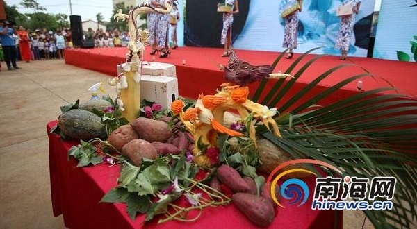 挖地瓜、吃地瓜！海南澄迈县第六届桥头富硒地瓜节举行