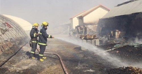 蔬菜大棚起火烧了4小时 大棚内的近6万元现金付之一炬