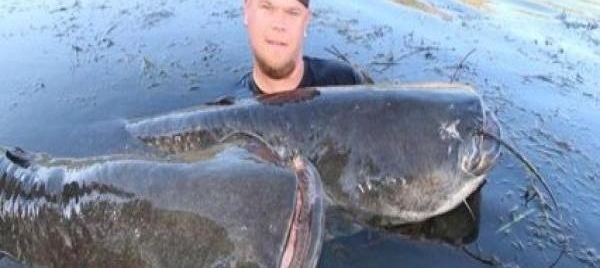 最世界上最恐怖的5种淡水鱼 一不小心同样会要命