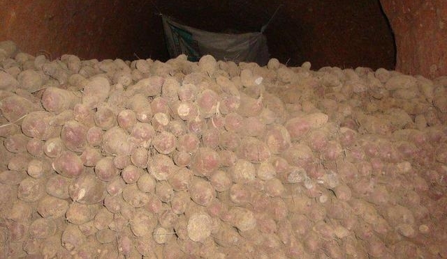 绝对不是吓唬你，农村里的一种东西如果不正确使用，会有生命危险