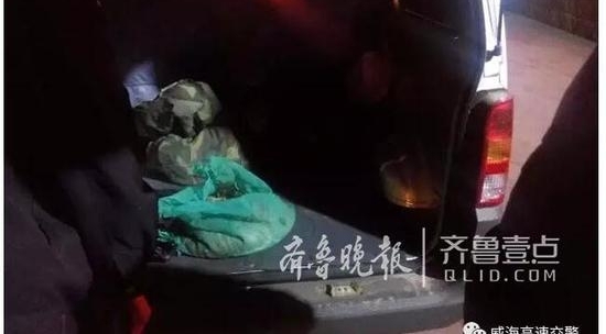 窃贼深夜海水中偷盗9公斤海参 没到公路就被抓