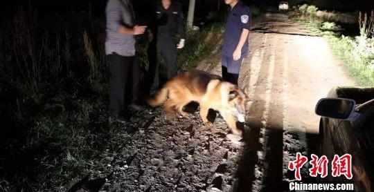 浙江台州一轿车遭纵火致乘客死伤案 凶手6小时后落网