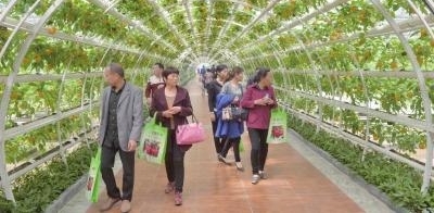 第十八届中国(寿光)国际蔬菜科技博览会开幕 让先进农业科技更接地气