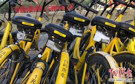 共享单车频遭破坏 90后女生手绘修补车牌