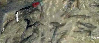 奇闻：农民做一个梦后，把家挖几十米深，结果让他惊呆了