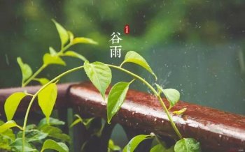 今日谷雨，谷雨为什么要“祭仓颉”你知道吗？