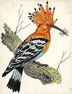 今日谷雨，谷雨为什么要“祭仓颉”你知道吗？