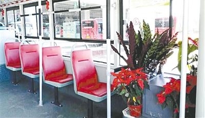 赏心悦目！ 进了这个公交车 就像进了“植物园” ■新鲜事儿