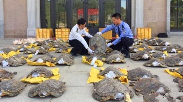 海关发现可疑货车, 查获大量“空壳”, 打开后都哭了