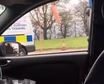 世界还真是无奇不有，在车内都能引来“不速之客“的到访！