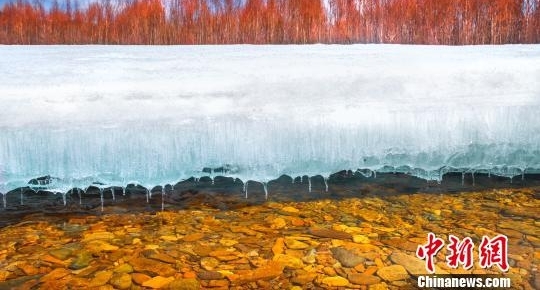 中国北疆四月飞雪 冰雪奇观俏争春色