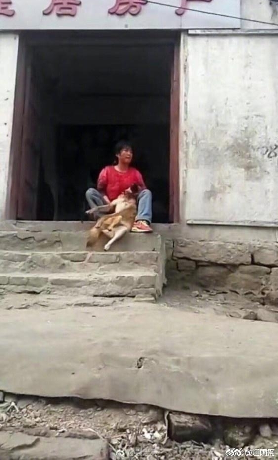 土狗欲与拉布拉多交配惨遭割喉 跑回主人怀中死去