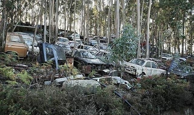 小伙野外发现废弃车厂，随后收获丰富奖金和锦旗