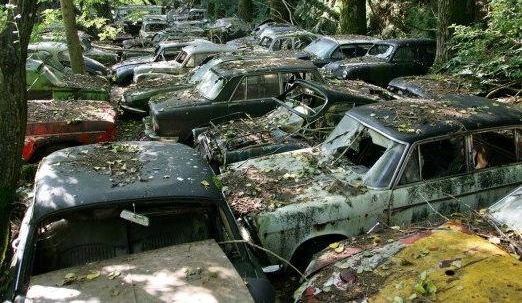 小伙野外发现废弃车厂，随后收获丰富奖金和锦旗