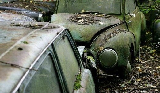 小伙野外发现废弃车厂，随后收获丰富奖金和锦旗