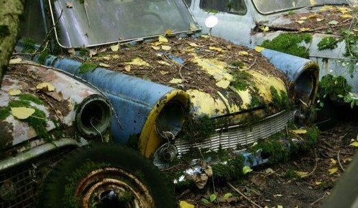 小伙野外发现废弃车厂，随后收获丰富奖金和锦旗