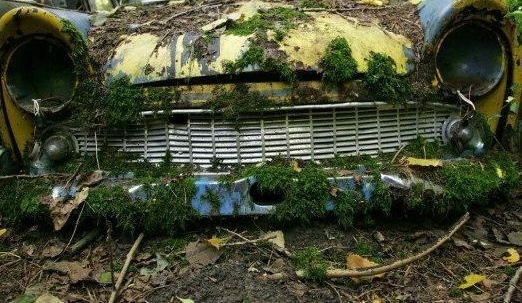 小伙野外发现废弃车厂，随后收获丰富奖金和锦旗