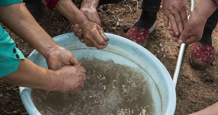 农村老人靠嫁接瓜苗补贴家用, 辛苦一整天领到六十块