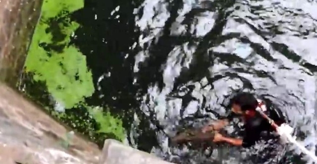 井里有不明动物在挣扎，村民想打捞又很害怕