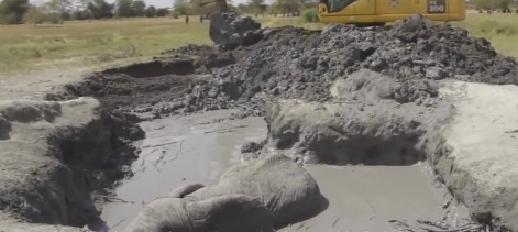 农村男子野外发现一个巨大泥潭，走近后被吓了一跳！