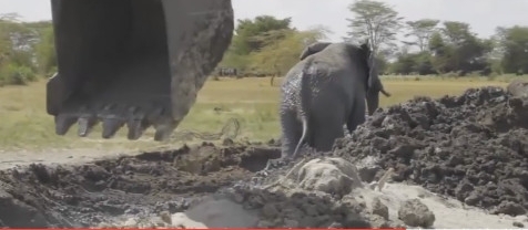 农村男子野外发现一个巨大泥潭，走近后被吓了一跳！