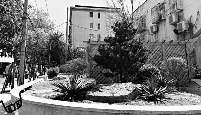 南门仓胡同：拆了小饭馆，建成小花园