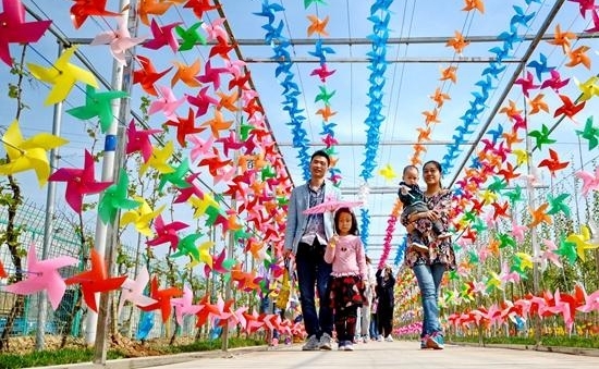 河北衡水：花伞风车扮靓春天