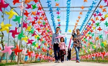 河北衡水：花伞风车扮靓春天