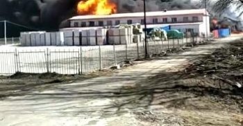 哈尔滨双城区一药厂发生火灾 暂无人员伤亡