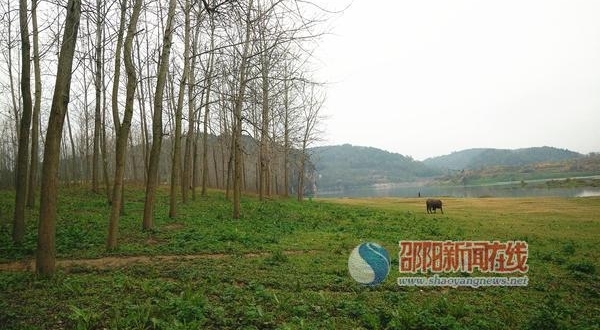 新邵县酿溪镇王家坪村河滩沦为飙车地 村民直呼伤不起