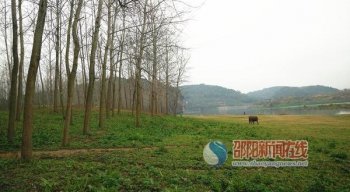 新邵县酿溪镇王家坪村河滩沦为飙车地 村民直呼伤不起