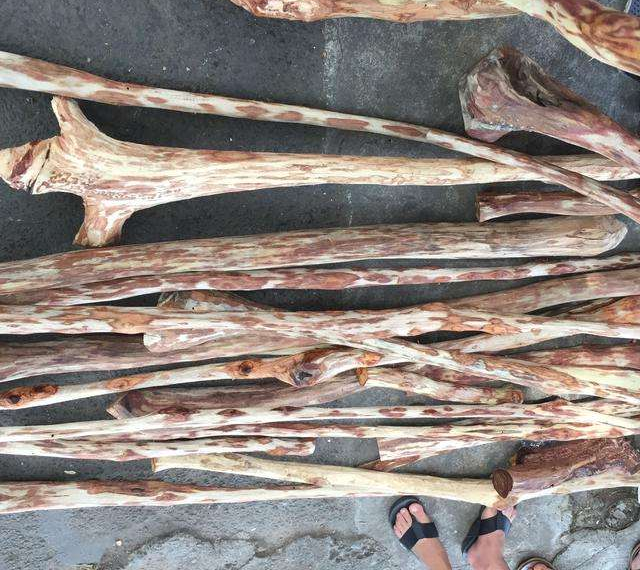 兄弟高价买了一根竹竿，媳妇笑话他傻，切开后媳妇脸色都变了