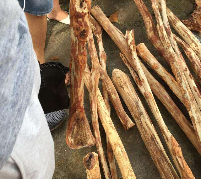 兄弟高价买了一根竹竿，媳妇笑话他傻，切开后媳妇脸色都变了