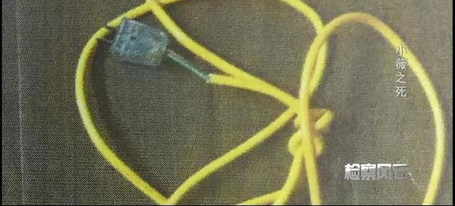 90后女子被未婚夫掐死 全身赤裸有多处电击伤痕