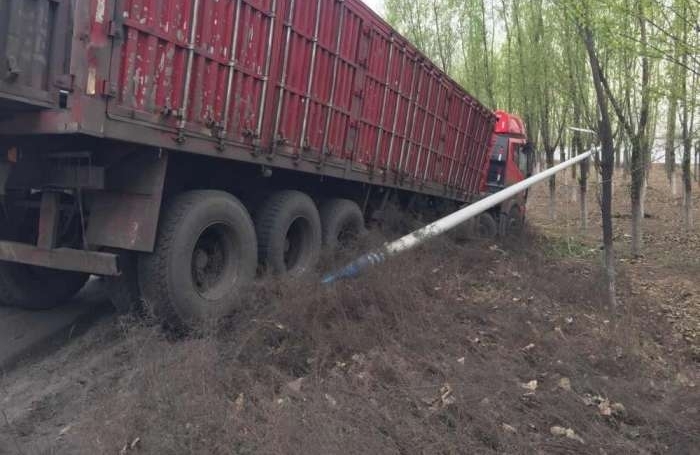 大车司机避让车撞到路边树, 看看司机下车做了什么