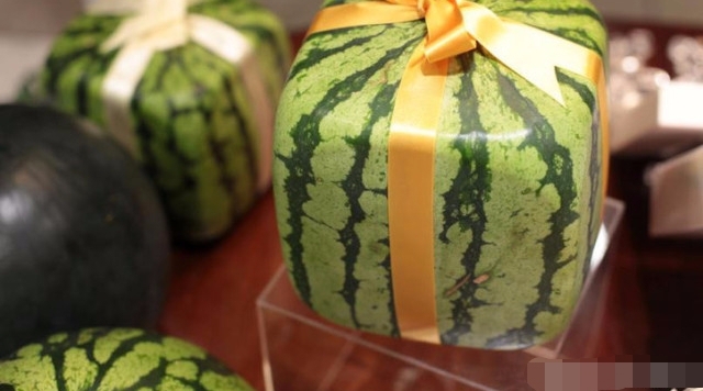 各种奇怪形状的水果价格都很高，为啥它却卖不出去，农民遭了秧！