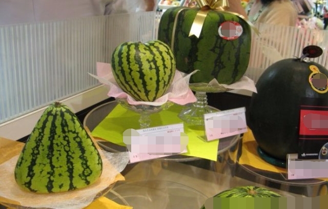 各种奇怪形状的水果价格都很高，为啥它却卖不出去，农民遭了秧！