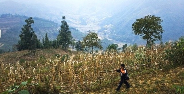 2岁父亡，9岁母嫁，直击：这个12岁农村男孩的独居生活