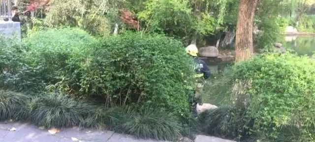 杭州小姑娘掉进湖里 刚想救就被抽水口吸走了