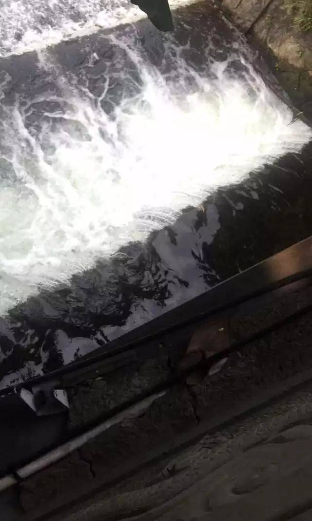 杭州小姑娘掉进湖里 刚想救就被抽水口吸走了