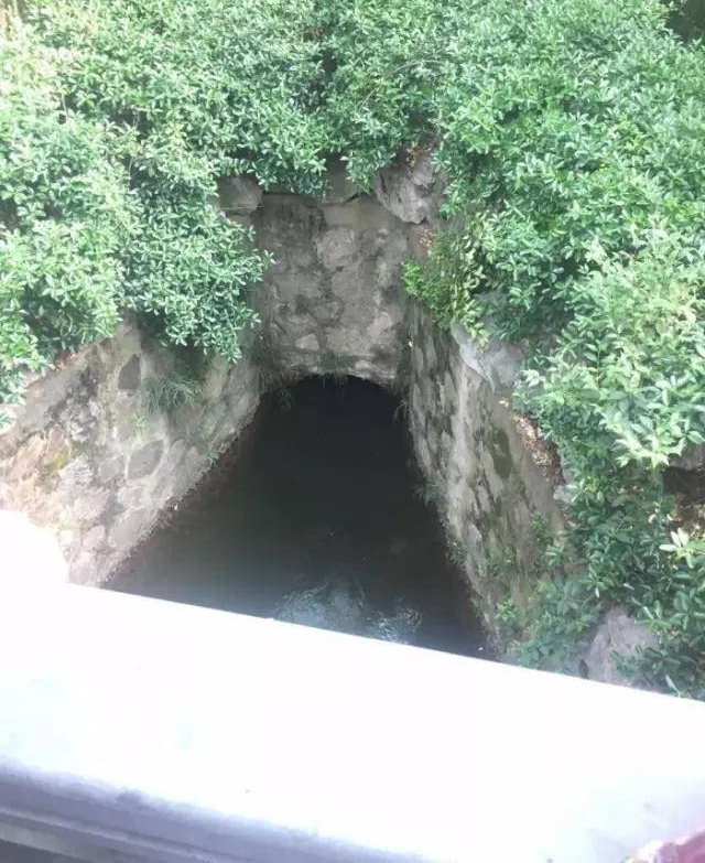 杭州小姑娘掉进湖里 刚想救就被抽水口吸走了