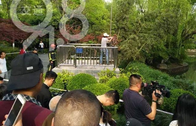杭州小姑娘掉进湖里 刚想救就被抽水口吸走了