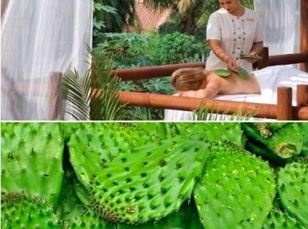 世界最奇葩的九种按摩法，看完第一种就毛骨悚然了