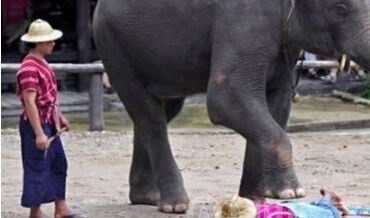 世界最奇葩的九种按摩法，看完第一种就毛骨悚然了