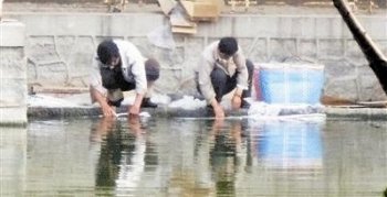 月牙河遭摊贩洗带鱼：河水成污水 冻鱼变鲜鱼