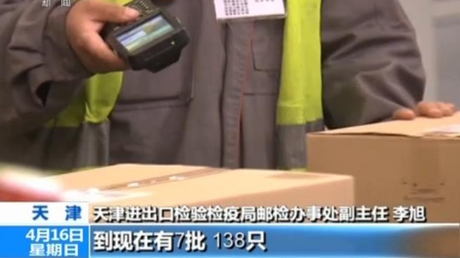 警惕|外来物种邮寄入境增多 违法且影响国家生物安全