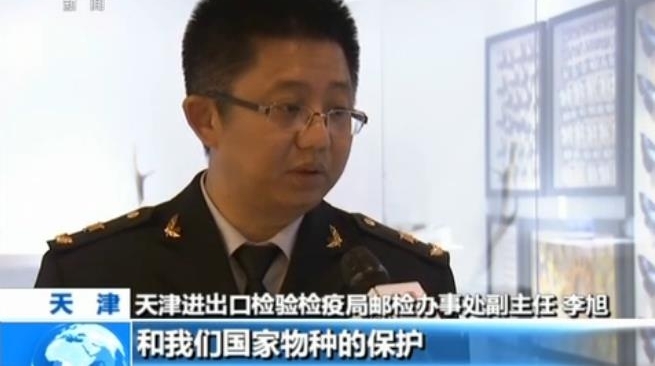 警惕|外来物种邮寄入境增多 违法且影响国家生物安全